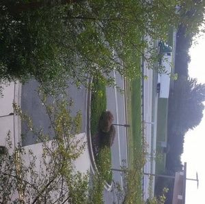 Meet your Posher, Douglas